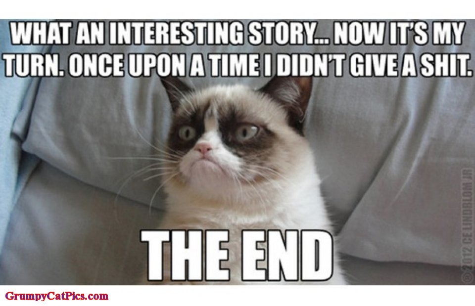 35 of the Funniest Grumpy Cat Memes Ever Created